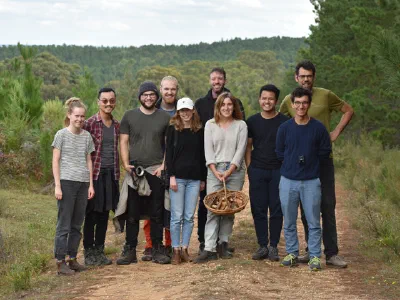2019 Mushrooms Southern Highlands